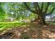 Spacious backyard with lush lawn, mature trees, and playhouse at 2131 Lee St, Gastonia, NC 28054