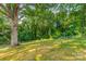 Lush backyard featuring mature trees, verdant lawns, and a fence, creating a serene and private outdoor space at 3608 Crestridge Dr, Charlotte, NC 28217