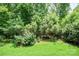 Lush backyard with green grass, mature trees, and a black metal fence at 8232 Bretton Woods Dr, Charlotte, NC 28227