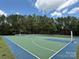 Community basketball court with a green and blue surface, providing a space for sports and recreation at 7319 Stonehaven Dr, Waxhaw, NC 28173