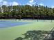 Community tennis courts providing a recreational amenity for residents, surrounded by lush greenery at 7319 Stonehaven Dr, Waxhaw, NC 28173