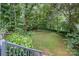 Well-maintained backyard lawn surrounded by mature trees at 8219 Beardsley Dr, Charlotte, NC 28269