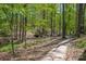 Picturesque view of a wooded walking path with a charming bridge in a tranquil community at 167 Foxtail Dr, Mooresville, NC 28117