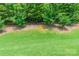 Spacious backyard featuring lush green grass and mature trees, perfect for outdoor activities and relaxation at 261 Catoctin Rd, Rock Hill, SC 29732