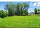 Expansive lawn featuring mature trees offers an ideal setting for outdoor activities and entertaining at 300 Wheatberry Hill Dr, Weddington, NC 28104