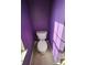 Compact half bathroom featuring purple walls and a standard toilet at 4227 Kiser Woods Sw Dr, Concord, NC 28025