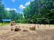Community playground area featuring climbing rocks, swings, and a covered picnic shelter at 5800 Silver Eagle Dr, Charlotte, NC 28214