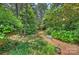 Lush backyard featuring a birdbath and mature trees at 6434 Sardis Rd, Charlotte, NC 28270