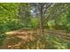 Picturesque backyard offering ample space for relaxation and entertainment at 6434 Sardis Rd, Charlotte, NC 28270