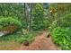 Lush backyard featuring mature trees and plants for privacy and shade at 6434 Sardis Rd, Charlotte, NC 28270