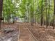 Woodland path leading through the backyard, enhancing the property's natural charm and inviting exploration at 105 Beech Bluff Dr, Mount Holly, NC 28120
