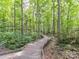 Wooded walkway through a lush green landscape featuring a gentle slope at 105 Beech Bluff Dr, Mount Holly, NC 28120