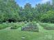 A verdant community garden with raised beds, thriving plants, and lush greenery in a serene setting at 15018 Marymont Ave, Huntersville, NC 28078