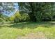 Lush, green yard with mature trees providing shade and a serene atmosphere at 1637 N College Ave, Newton, NC 28658