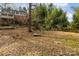 Expansive backyard featuring mature trees and bamboo, creating a private and natural setting at 335 Summit Se Ct, Concord, NC 28025