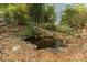 Scenic backyard pond surrounded by lush foliage and mature trees, offering a peaceful retreat at 335 Summit Se Ct, Concord, NC 28025