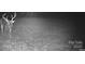 Trailcam image of deer in yard at 604 Ferguson Ridge Rd, Gastonia, NC 28052