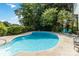Backyard pool with lounge chairs, surrounded by lush greenery and a well-maintained lawn at 7704 Ninth Fairway Ln, Mint Hill, NC 28227