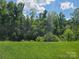 Beautiful lush green backyard with dense trees and shrubbery at 1195 Winding Creek Rd, Salisbury, NC 28146