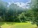 Expansive backyard with lush green grass and mature trees providing privacy and shade at 133 Yellowbell Rd, Mooresville, NC 28117