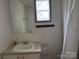 Bright bathroom with a sink, mirror, and natural light at 326 Havencrest Ct, Gastonia, NC 28052
