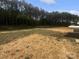 Expansive backyard offering ample space and bordered by mature trees, ready for outdoor activities at 4122 Munson Dr, Charlotte, NC 28215