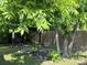 Spacious backyard with lush greenery, a wooden fence, and covered carport at 714 E Dunlap St, Lancaster, SC 29720