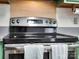 Close up of stainless steel range in cozy kitchen with green cabinets at 8030 Glencannon Dr, Charlotte, NC 28227