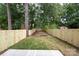 Fenced backyard featuring lush trees, green grass and a small tree planted at 1724 Dallas Ave, Charlotte, NC 28205