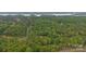 Extensive green landscape with mature trees, showcasing the location of a community and nearby lake at 17403 Green Hill Rd, Charlotte, NC 28278