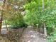 Scenic walking trail through a wooded area, perfect for nature walks at 2215 Henery Tuckers Ct, Charlotte, NC 28270