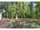 Backyard surrounded by towering trees, offering a private and serene outdoor setting for relaxation and enjoyment at 4410 Burgin St, Kannapolis, NC 28081