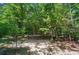 An unspoiled lot with mature trees at 463 Langston Place Dr, Fort Mill, SC 29708