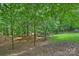Serene wooded backyard with a mix of trees, leaves, and greenery at 7117 Cobblecreek Dr, Weddington, NC 28104