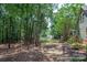 Lush backyard with mature trees, providing a serene and private outdoor space next to the home at 9928 Raddington Ln, Charlotte, NC 28269