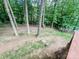 View of the backyard and privacy fence from the deck, creating a serene outdoor space at 125 Shenandoah Loop, Troutman, NC 28166