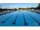 A sparkling community pool with lane markers, lounge chairs, and umbrellas for relaxing poolside enjoyment at 129 N Audubon Ave, Mooresville, NC 28117