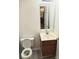 Bathroom features a single sink vanity, toilet, mirror, and wood-look flooring at 1911 Flushing Ct, Charlotte, NC 28215