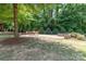Lush backyard features a cozy patio with comfortable seating and a charming fire pit, perfect for gatherings at 2945 Duvalla Ave, Charlotte, NC 28209
