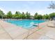 Community pool surrounded by lounge chairs, umbrellas and lush green trees at 4305 Twenty Grand Dr, Indian Trail, NC 28079