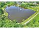 Aerial view of a large pond surrounded by trees and greenery, offering a peaceful setting at 7916 Deerbridge St, Mint Hill, NC 28227