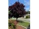 Landscaped front yard boasting colorful flowers, a mature tree, and a well-kept lawn at 8722 Heron Glen Dr, Charlotte, NC 28269