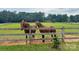 Two majestic brown horses stand by a wooden fence in a lush green pasture at 2932 Rant Drum Rd, Maiden, NC 28650