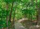 Picturesque walking trail winding through a lush green forest with sunlight streaming through at 4009 Oxford Mill Rd, Waxhaw, NC 28173