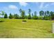 Expansive backyard with lush green grass and mature trees under a clear blue sky at 5334 Orchid Bloom Dr, Fort Mill, SC 29707