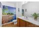 Bathroom with a beach-themed shower curtain, a vanity with a sink, and wood-look flooring at 7138 Somerset Springs Dr, Charlotte, NC 28262