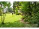 Large grassy backyard surrounded by mature trees and greenery, offering privacy and a serene setting at 2019 Steeplechase Dr, Rock Hill, SC 29732