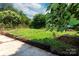 Green backyard featuring lush foliage, grass, and potential for various outdoor activities at 2628 Clydesdale Ter, Charlotte, NC 28208