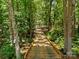 Picturesque nature trail through a lush, green forest at 1629 Southpoint Ln, New London, NC 28127