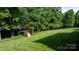 Green backyard featuring a wooden playset, a large green lawn, and mature trees at 179 Browning Dr, Taylorsville, NC 28681